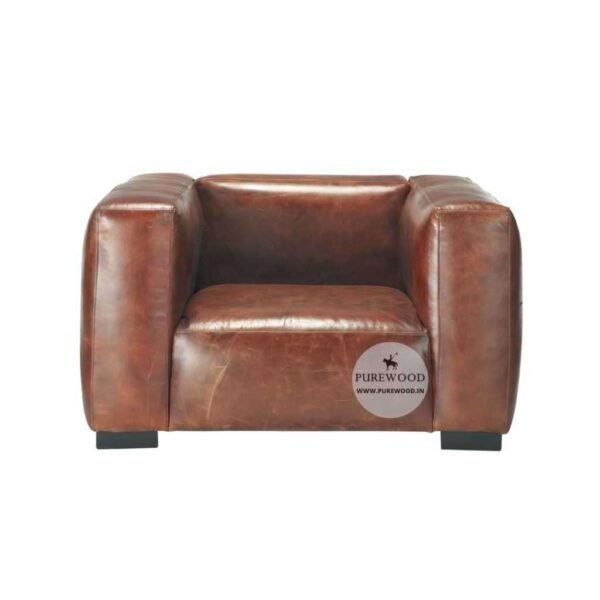 Leather Fauteuil (3)